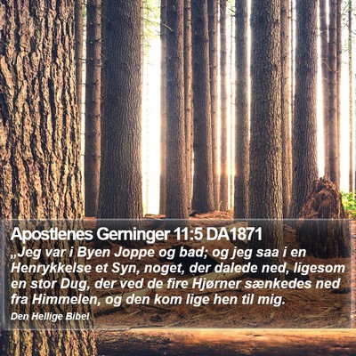 Apostlenes Gerninger 11:5 DA1871 Bible Verse Image