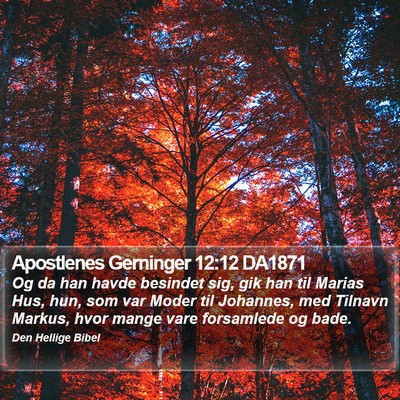 Apostlenes Gerninger 12:12 DA1871 Bible Verse Image