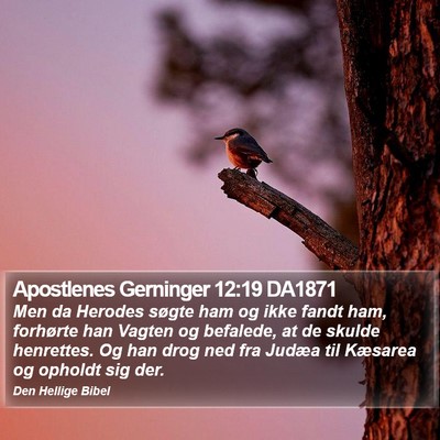 Apostlenes Gerninger 12:19 DA1871 Bible Verse Image
