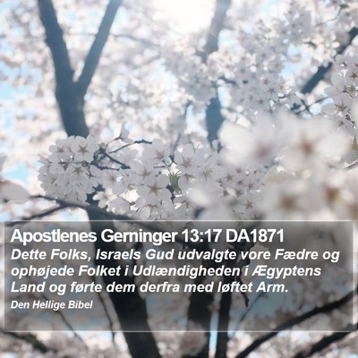 Apostlenes Gerninger 13:17 DA1871 Bible Verse Image