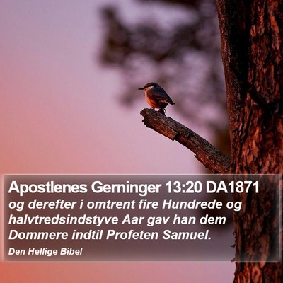 Apostlenes Gerninger 13:20 DA1871 Bible Verse Image