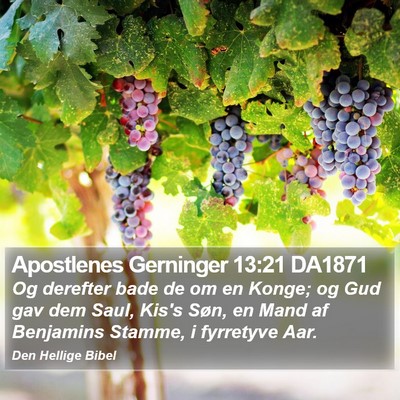 Apostlenes Gerninger 13:21 DA1871 Bible Verse Image