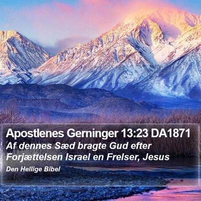 Apostlenes Gerninger 13:23 DA1871 Bible Verse Image