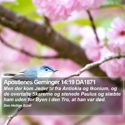Apostlenes Gerninger 14:19 DA1871 Bible Verse Image