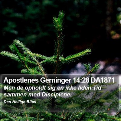 Apostlenes Gerninger 14:28 DA1871 Bible Verse Image