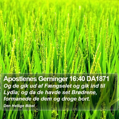 Apostlenes Gerninger 16:40 DA1871 Bible Verse Image