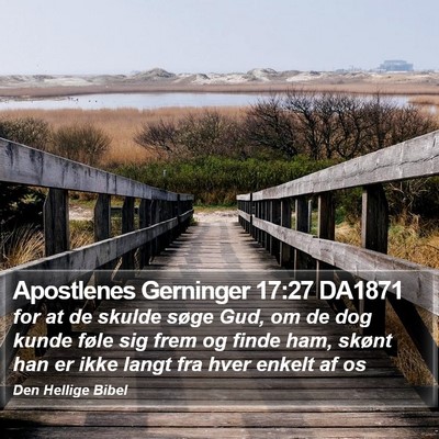 Apostlenes Gerninger 17:27 DA1871 Bible Verse Image