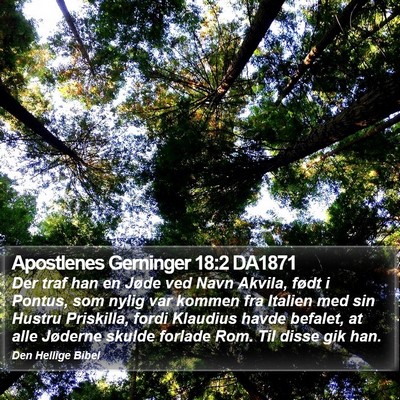 Apostlenes Gerninger 18:2 DA1871 Bible Verse Image