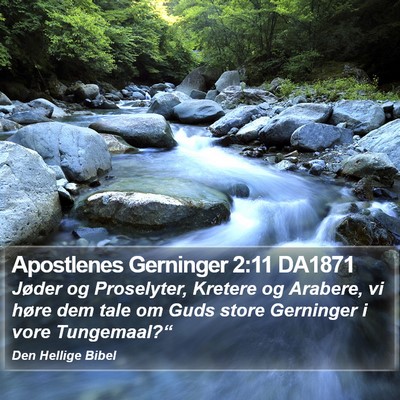 Apostlenes Gerninger 2:11 DA1871 Bible Verse Image