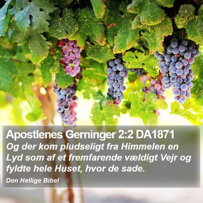 Apostlenes Gerninger 2:2 DA1871 Bible Verse Image