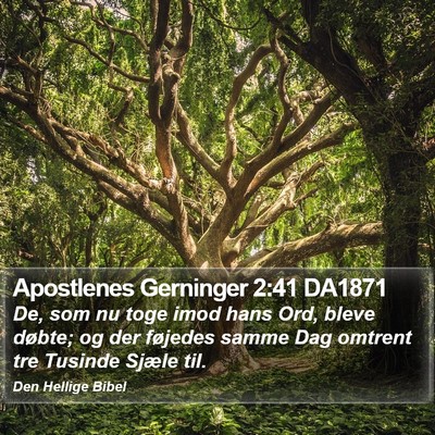 Apostlenes Gerninger 2:41 DA1871 Bible Verse Image