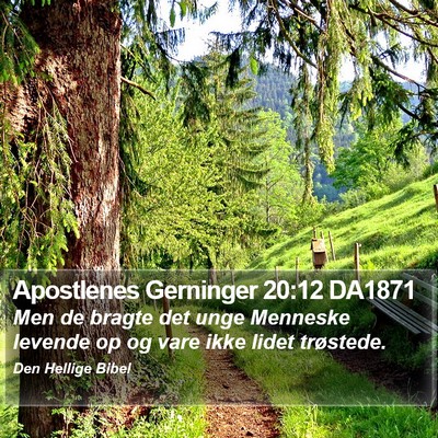 Apostlenes Gerninger 20:12 DA1871 Bible Verse Image
