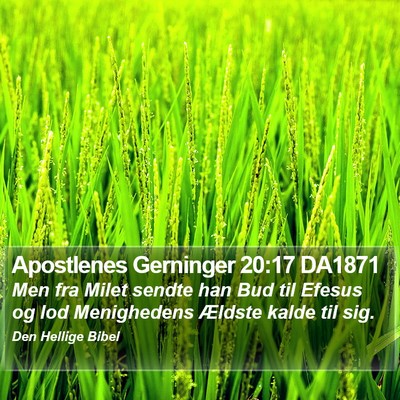 Apostlenes Gerninger 20:17 DA1871 Bible Verse Image