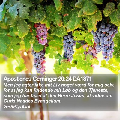 Apostlenes Gerninger 20:24 DA1871 Bible Verse Image