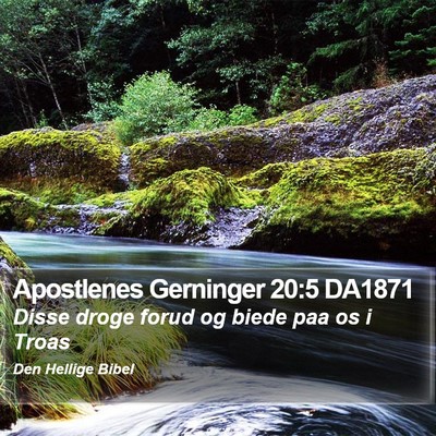 Apostlenes Gerninger 20:5 DA1871 Bible Verse Image