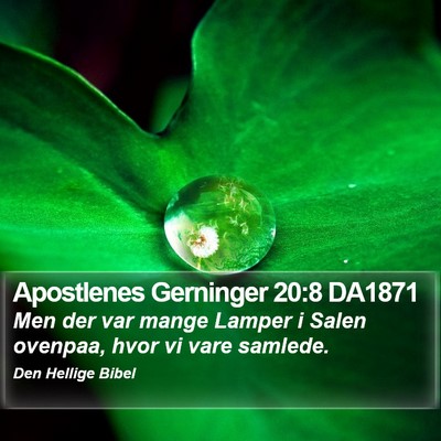 Apostlenes Gerninger 20:8 DA1871 Bible Verse Image