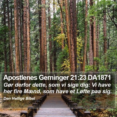 Apostlenes Gerninger 21:23 DA1871 Bible Verse Image
