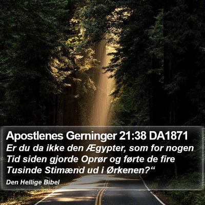 Apostlenes Gerninger 21:38 DA1871 Bible Verse Image