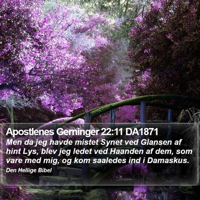 Apostlenes Gerninger 22:11 DA1871 Bible Verse Image