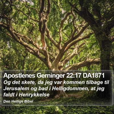 Apostlenes Gerninger 22:17 DA1871 Bible Verse Image