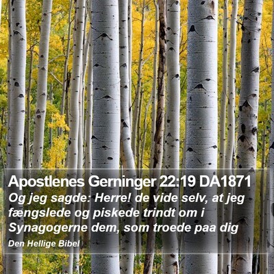 Apostlenes Gerninger 22:19 DA1871 Bible Verse Image