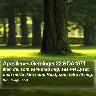 Apostlenes Gerninger 22:9 DA1871 Bible Verse Image