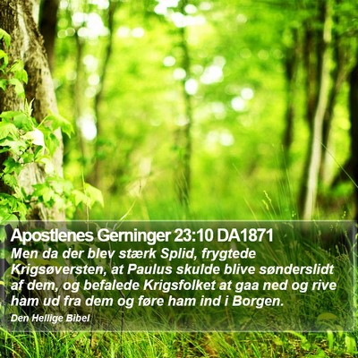 Apostlenes Gerninger 23:10 DA1871 Bible Verse Image