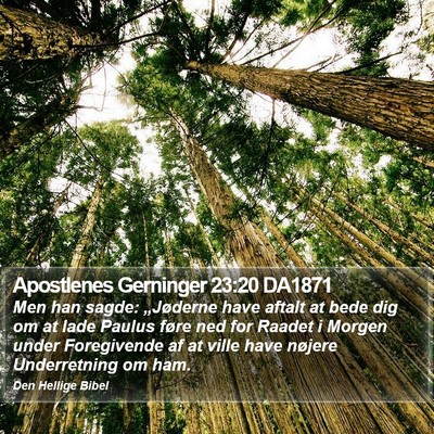 Apostlenes Gerninger 23:20 DA1871 Bible Verse Image