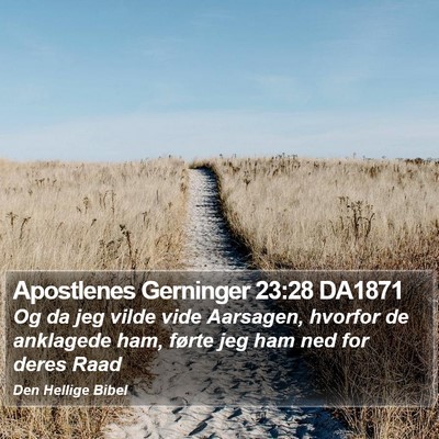 Apostlenes Gerninger 23:28 DA1871 Bible Verse Image