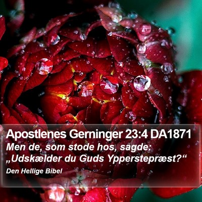 Apostlenes Gerninger 23:4 DA1871 Bible Verse Image