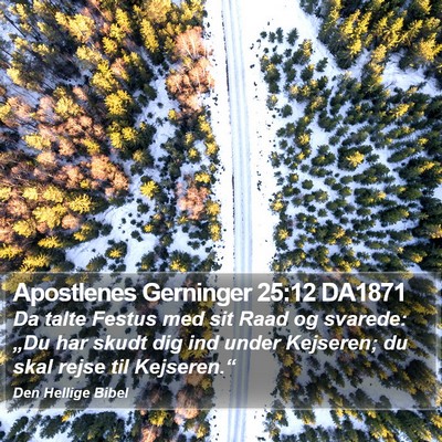 Apostlenes Gerninger 25:12 DA1871 Bible Verse Image