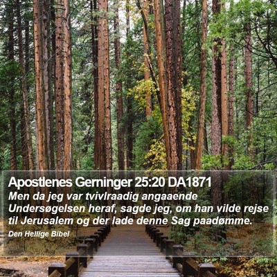 Apostlenes Gerninger 25:20 DA1871 Bible Verse Image