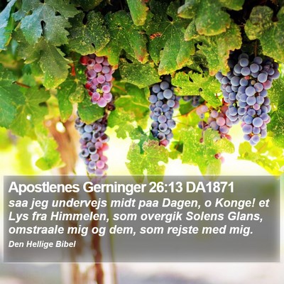 Apostlenes Gerninger 26:13 DA1871 Bible Verse Image