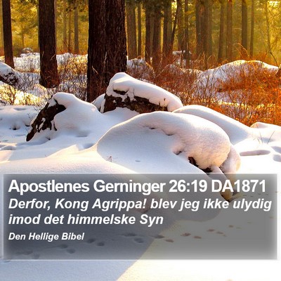 Apostlenes Gerninger 26:19 DA1871 Bible Verse Image
