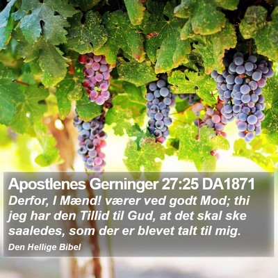 Apostlenes Gerninger 27:25 DA1871 Bible Verse Image