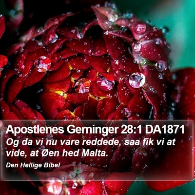 Apostlenes Gerninger 28:1 DA1871 Bible Verse Image