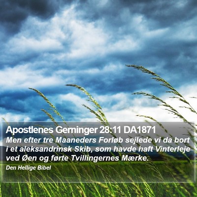 Apostlenes Gerninger 28:11 DA1871 Bible Verse Image