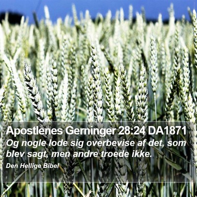 Apostlenes Gerninger 28:24 DA1871 Bible Verse Image
