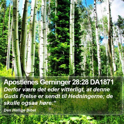 Apostlenes Gerninger 28:28 DA1871 Bible Verse Image