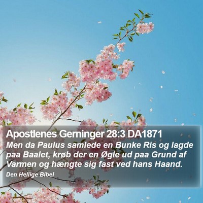 Apostlenes Gerninger 28:3 DA1871 Bible Verse Image
