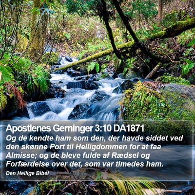 Apostlenes Gerninger 3:10 DA1871 Bible Verse Image