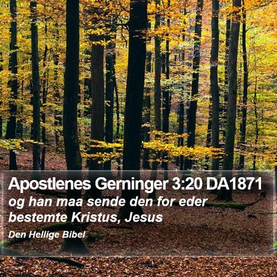 Apostlenes Gerninger 3:20 DA1871 Bible Verse Image