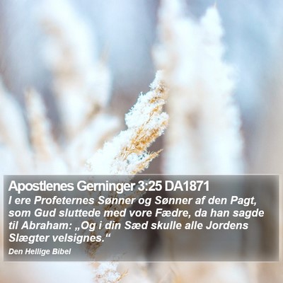Apostlenes Gerninger 3:25 DA1871 Bible Verse Image