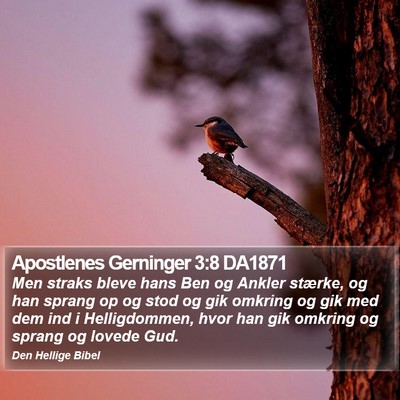 Apostlenes Gerninger 3:8 DA1871 Bible Verse Image