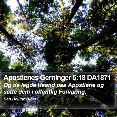 Apostlenes Gerninger 5:18 DA1871 Bible Verse Image
