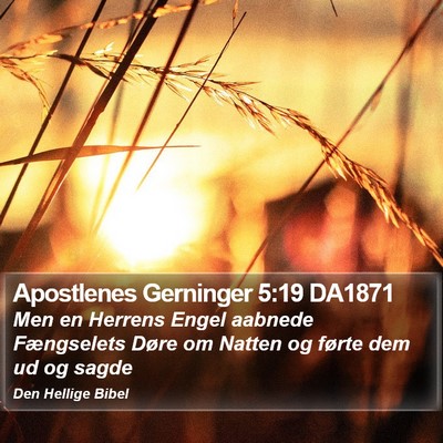 Apostlenes Gerninger 5:19 DA1871 Bible Verse Image