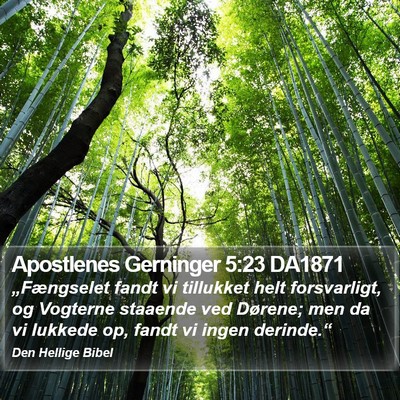Apostlenes Gerninger 5:23 DA1871 Bible Verse Image