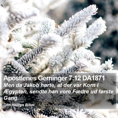 Apostlenes Gerninger 7:12 DA1871 Bible Verse Image