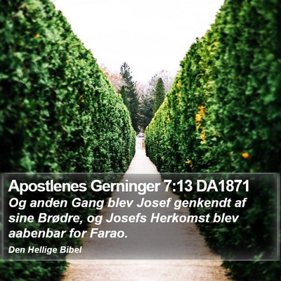 Apostlenes Gerninger 7:13 DA1871 Bible Verse Image
