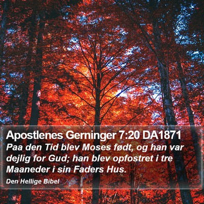 Apostlenes Gerninger 7:20 DA1871 Bible Verse Image